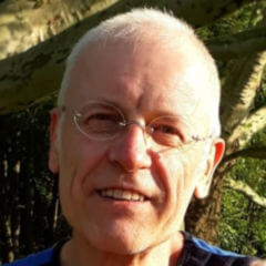 Michel Voss